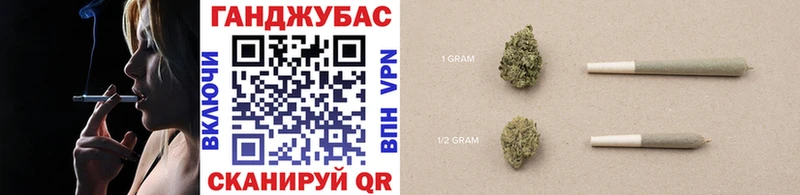 Конопля сатива  как найти наркотики  Калининград 